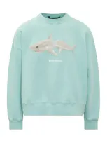 Palm Angels Slipt Shark Cotton Sweatshirt In Light Blue