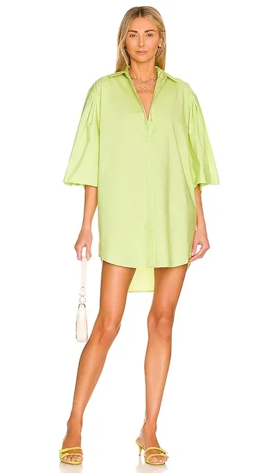 L'academie Willacy Mini Dress In Green