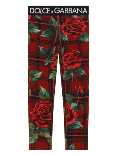 Dolce & Gabbana Kids' Rose Print Cotton Leggings W/logo Tape In Red