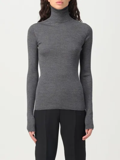 Sportmax Pullover  Damen Farbe Grau In Grey