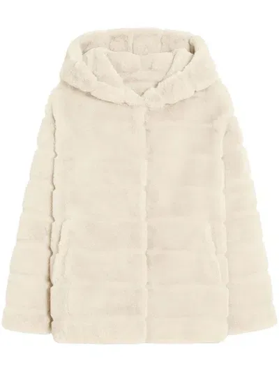 Apparis Goldy Hooded Coat In White