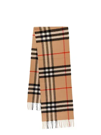 Burberry Scarf In Brown