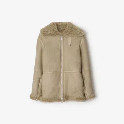 Burberry Shearling Jacket In Field