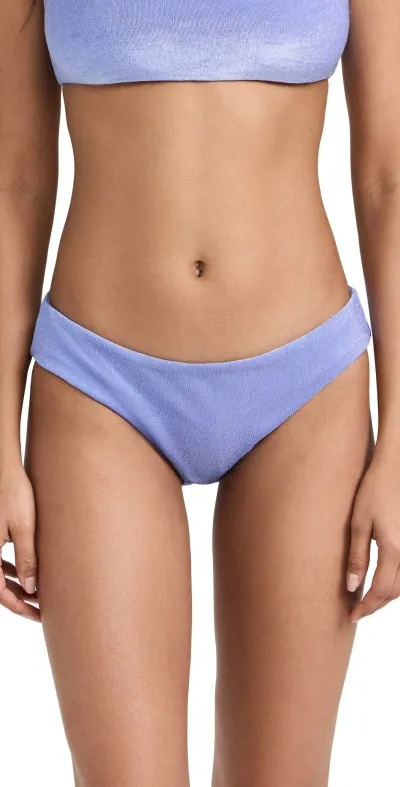 Jade Swim Lure Bikini Bottoms Violet