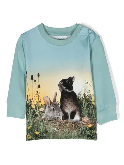 Molo Babies' Photograph-print Sweatshirt In Blau