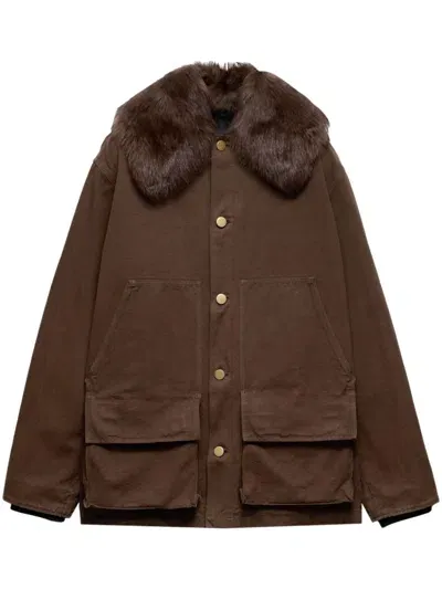 Prada Cotton Shearling-collar Jacket In Brown