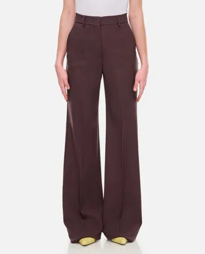 Sportmax Oxalis Straight Pants In Brown