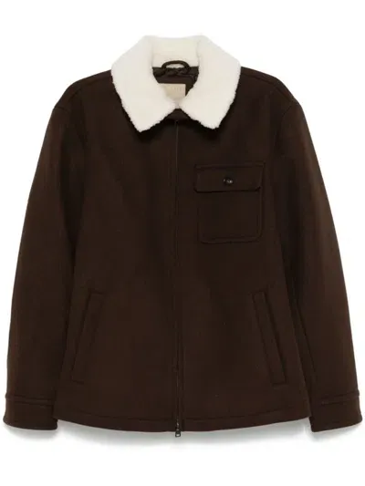 Woolrich Jackets Brown