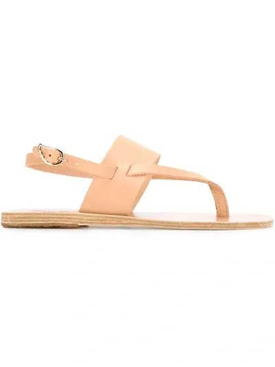 Ancient Greek Sandals Zoe Flat Sandals In Neutrals