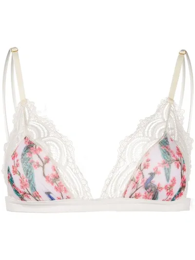 Dolci Follie Peacock Print Triangle Bra In White