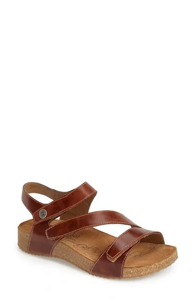 Josef Seibel Tonga 25 Sandal In Brown